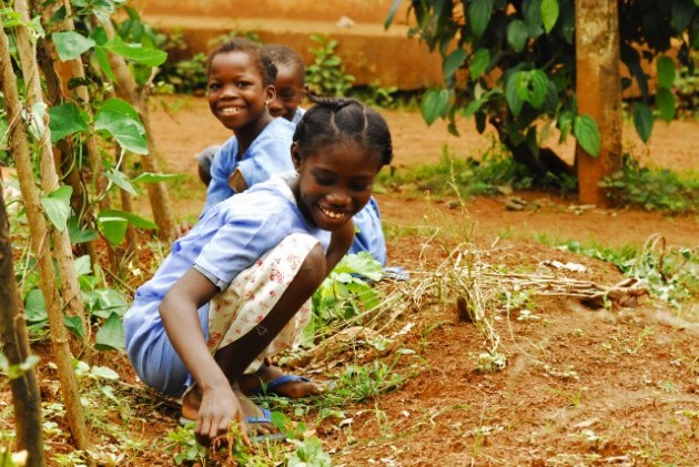 Afrika Pasaulyje Ir Pasaulis Afrikoje Delfi Kelionės